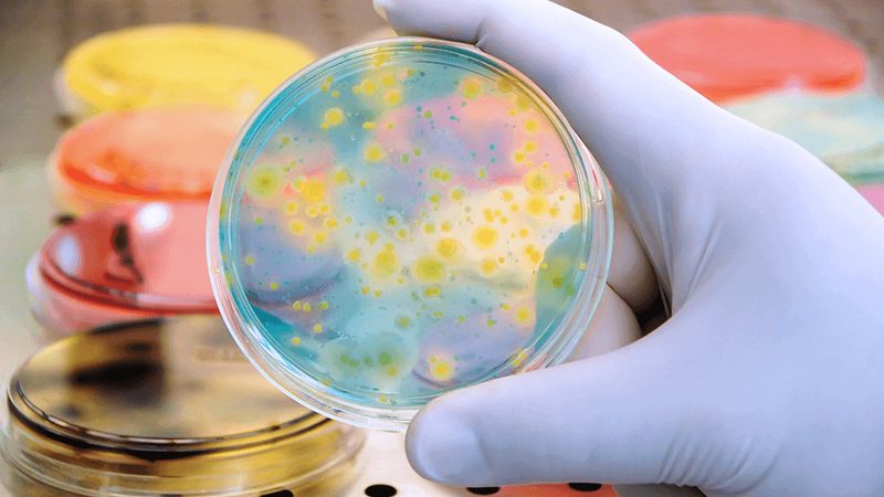重组蛋白生物制品：广州生产商如何引领行业创新**
