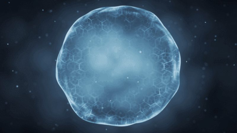 重组蛋白生物制品：如何甄别优质厂家**