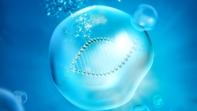 兔多克隆抗体制备：揭秘标准流程与关键要点**