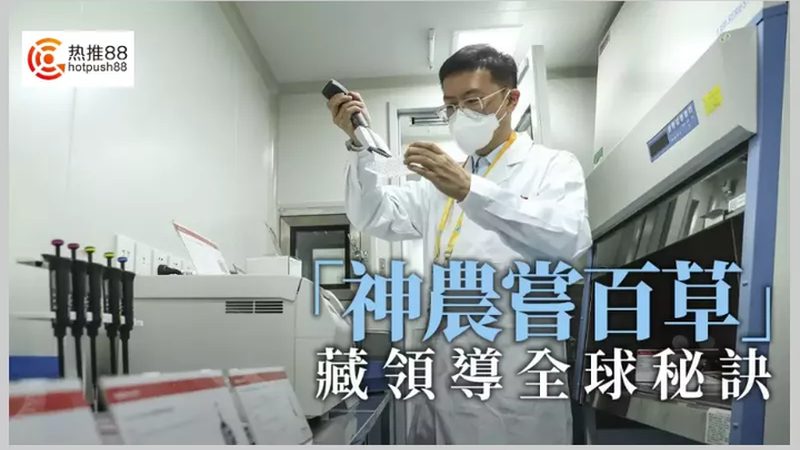 基因测序代理品牌排行榜