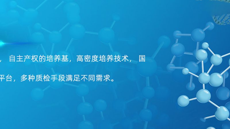 进口培养基与国产培养基：成分差异解析**