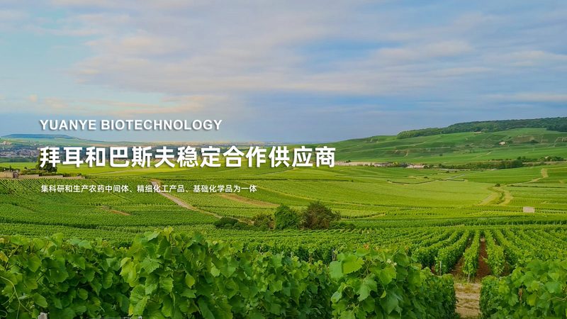 CRS数据分析流程：参数设置的科学与艺术