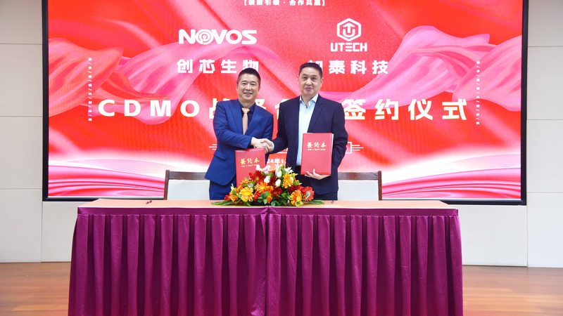 CDMO质量标准文件模板：构建合规与高效的研发基石