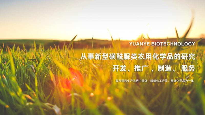 低温离心管：科研中的“隐形英雄”**