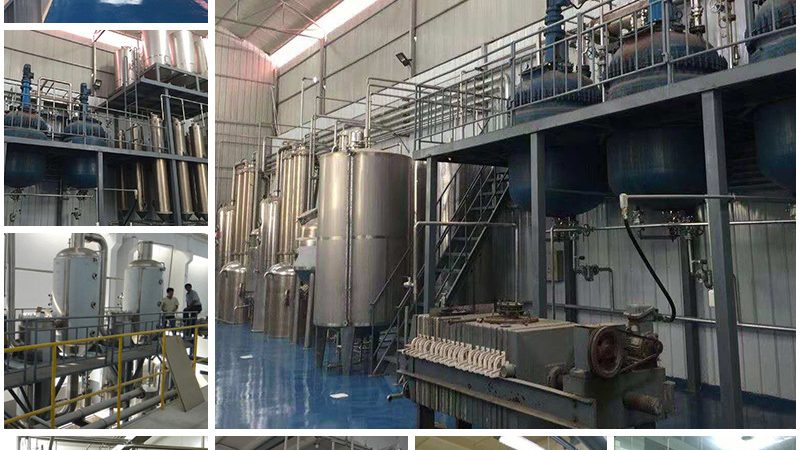 生物科技实验室外包服务的报价解析：关键因素与考量点**