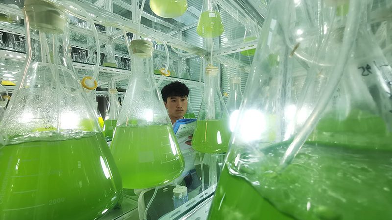 PCR检测标本类型解析：了解这些，确保检测精准